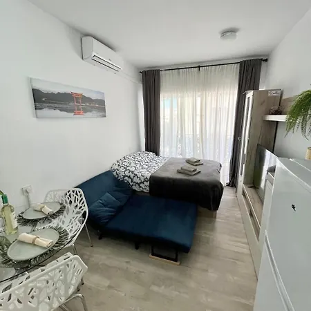 Tango 托雷维耶哈